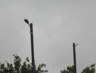 Imagine atasata: Pod Stefan Cel Mare - 2019.09.26 - 04.jpg